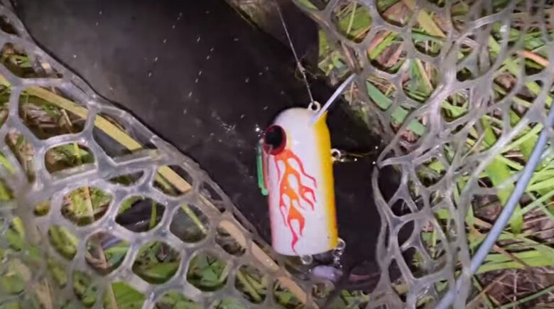 Tバド マルヨシ限定カラー で道北のナマズ釣ったら病みつきになる 道北貧釣